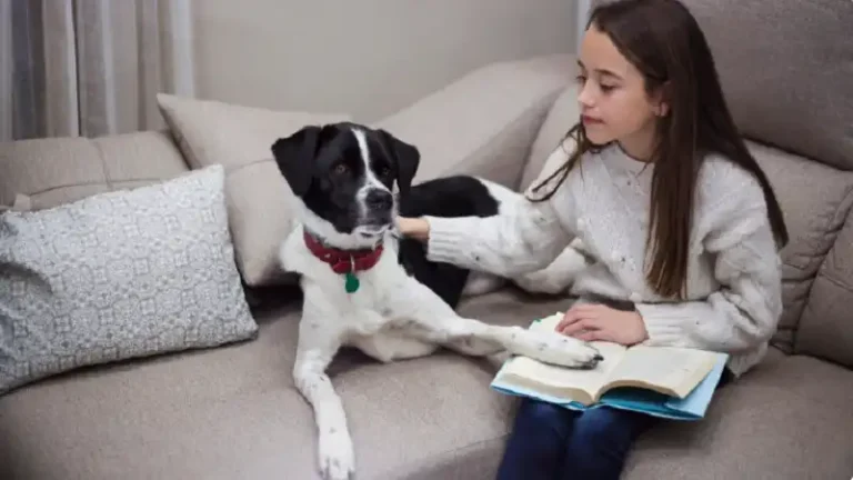 pet guide lwmfpets from lookwhatmomfound